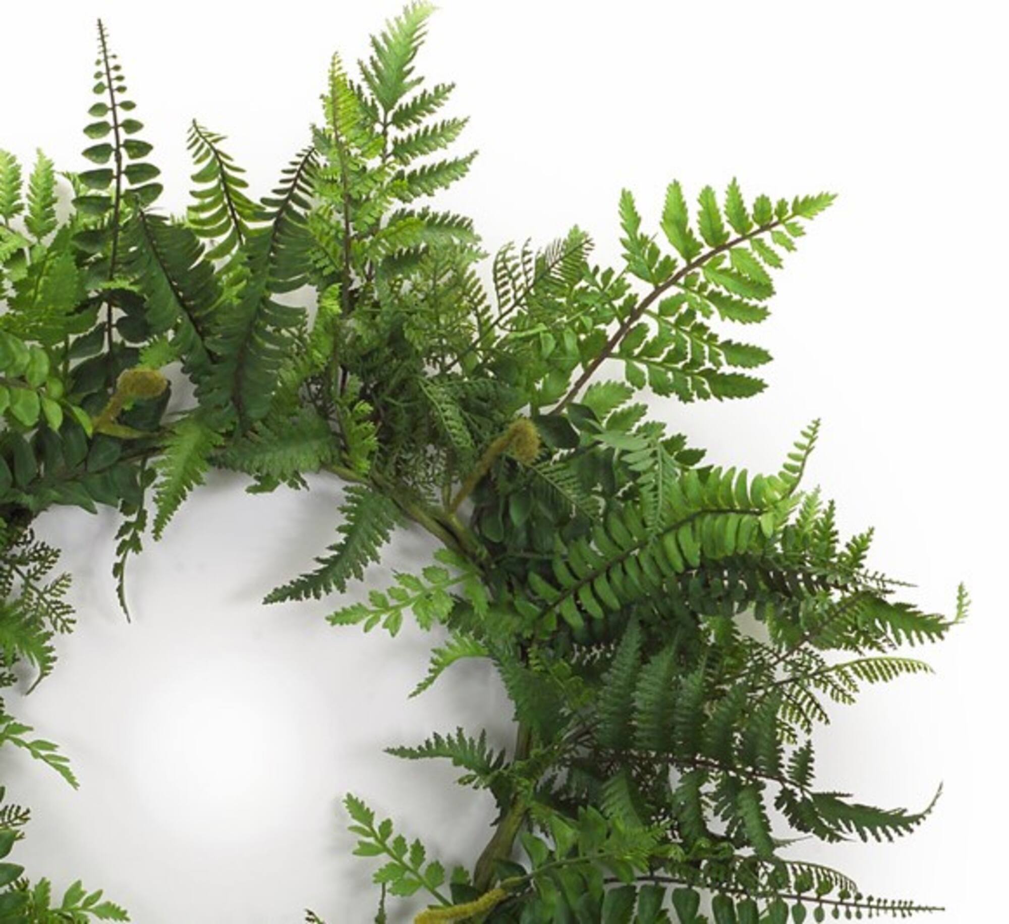 24" Fern Wreath